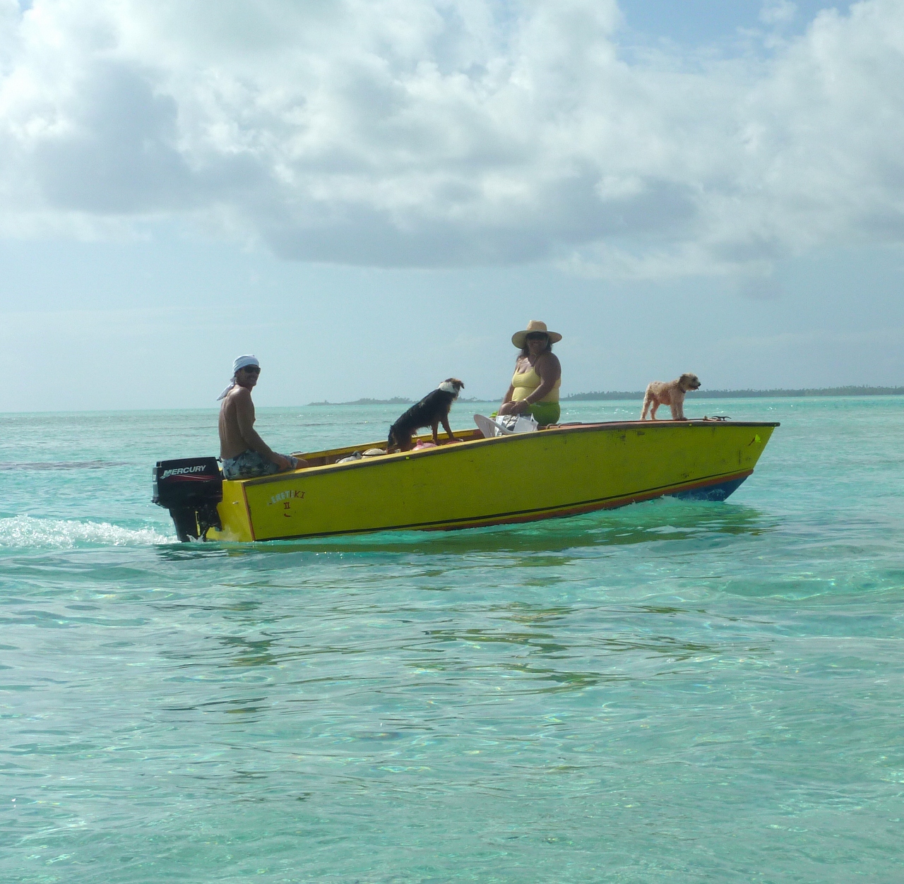 cleaning toau fish cleaning toau fish