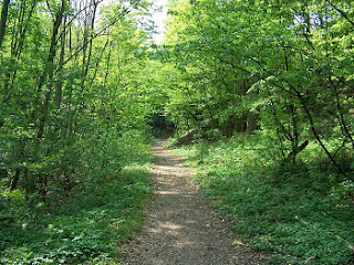 sendero en los alrededores de Viena