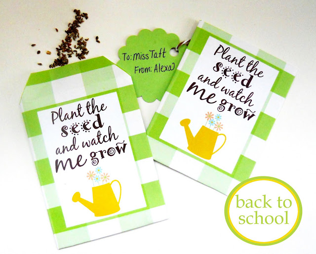 Seed Packet Template Green