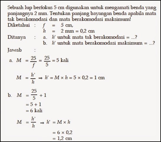 lingkaranpengetahuan Lup (Kaca Pembesar)