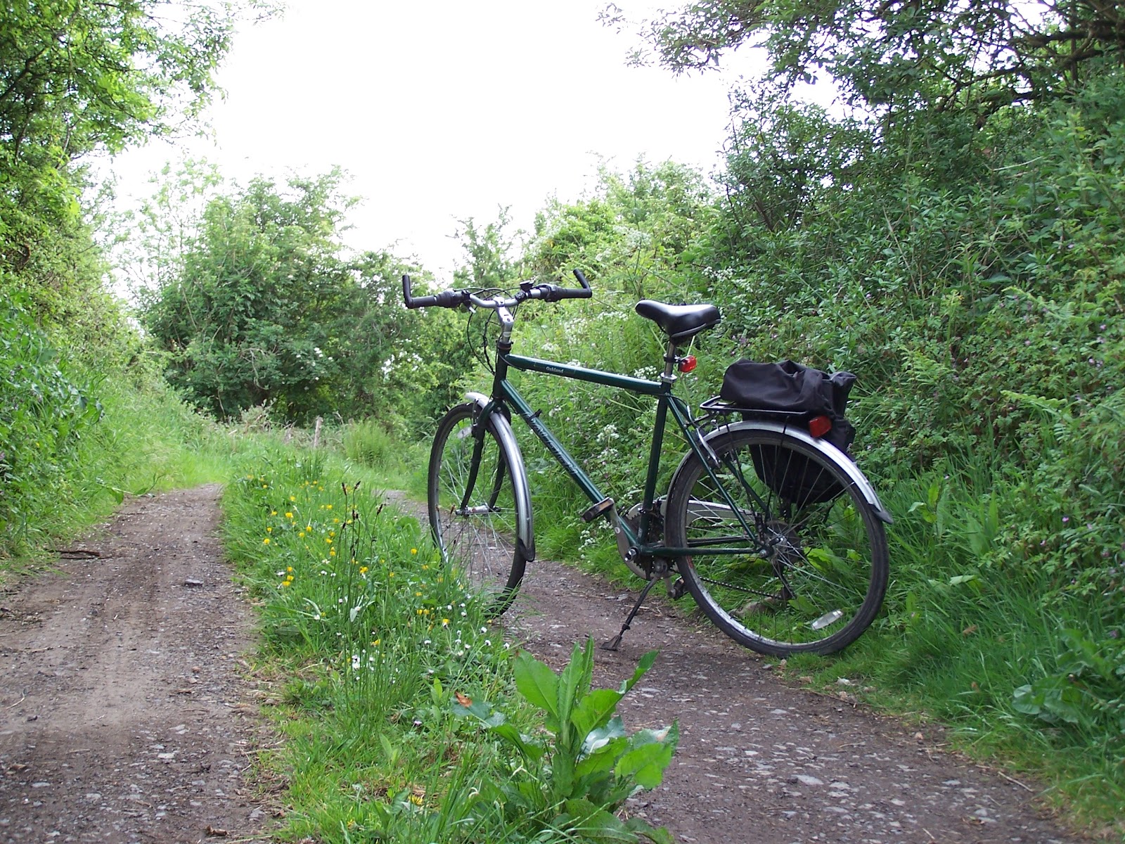 The Backwoodsman The Irish Cycling Renaissance