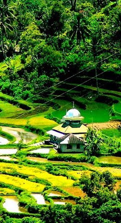 MUSAJIK DI TANGAH SAWAH