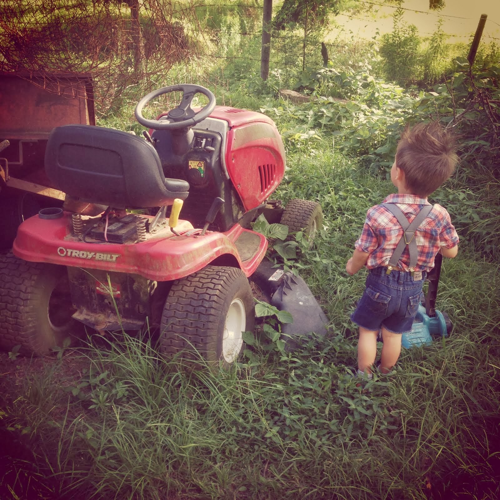 Becks at the Farm