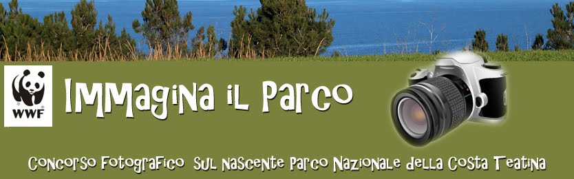 Immagina il Parco