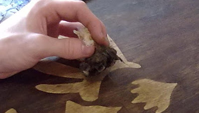 Hyrule Shield de madera | La Guarida Geek