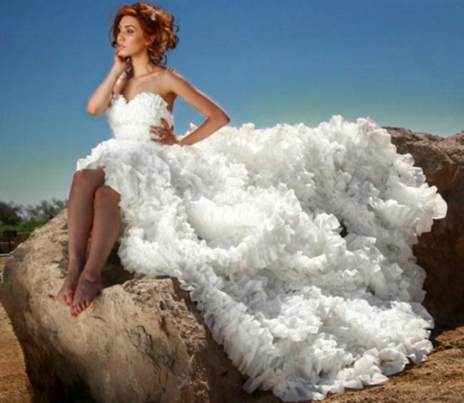 Toilet Paper Wedding Dress