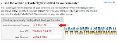 Adobe Flash Player 11.7.700.169 Offline Installer