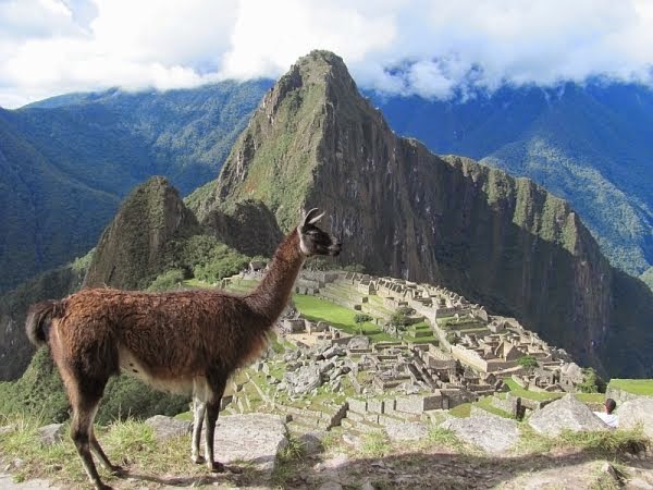 Machu Picchu and Peru Highlights