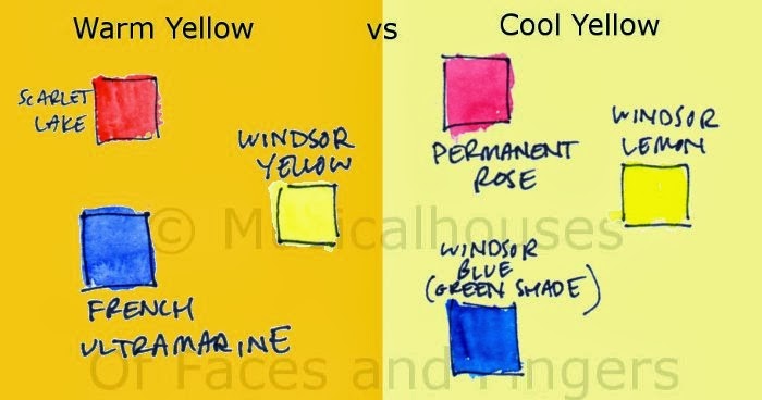 Color Analysis 6-Part Drape Set Warm-Cool
