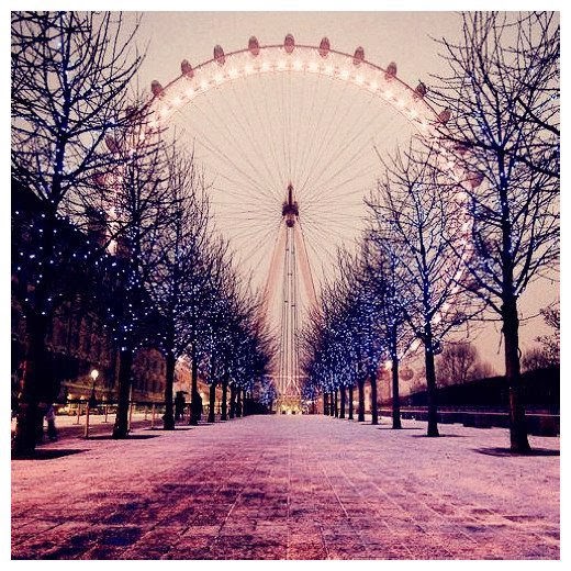 Ferris Wheel_♥