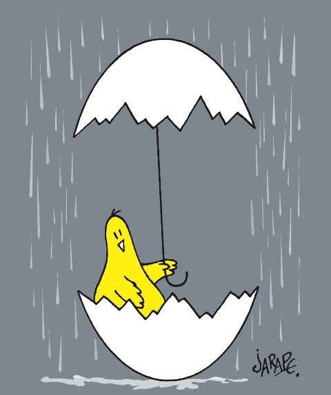 Egg and rain