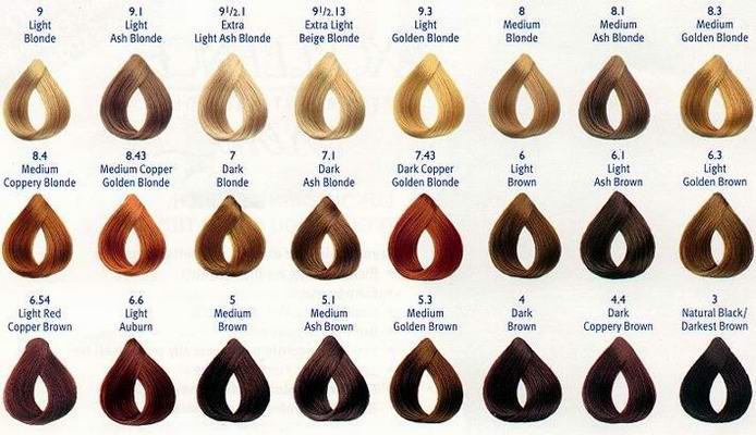 6 Hair Color Chart