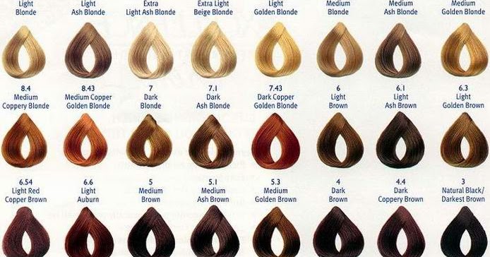 Loreal Hair Color Chart 2013