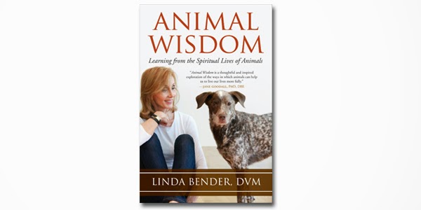 Animal Wisdom: Learning from the Spiritual Lives of Animals