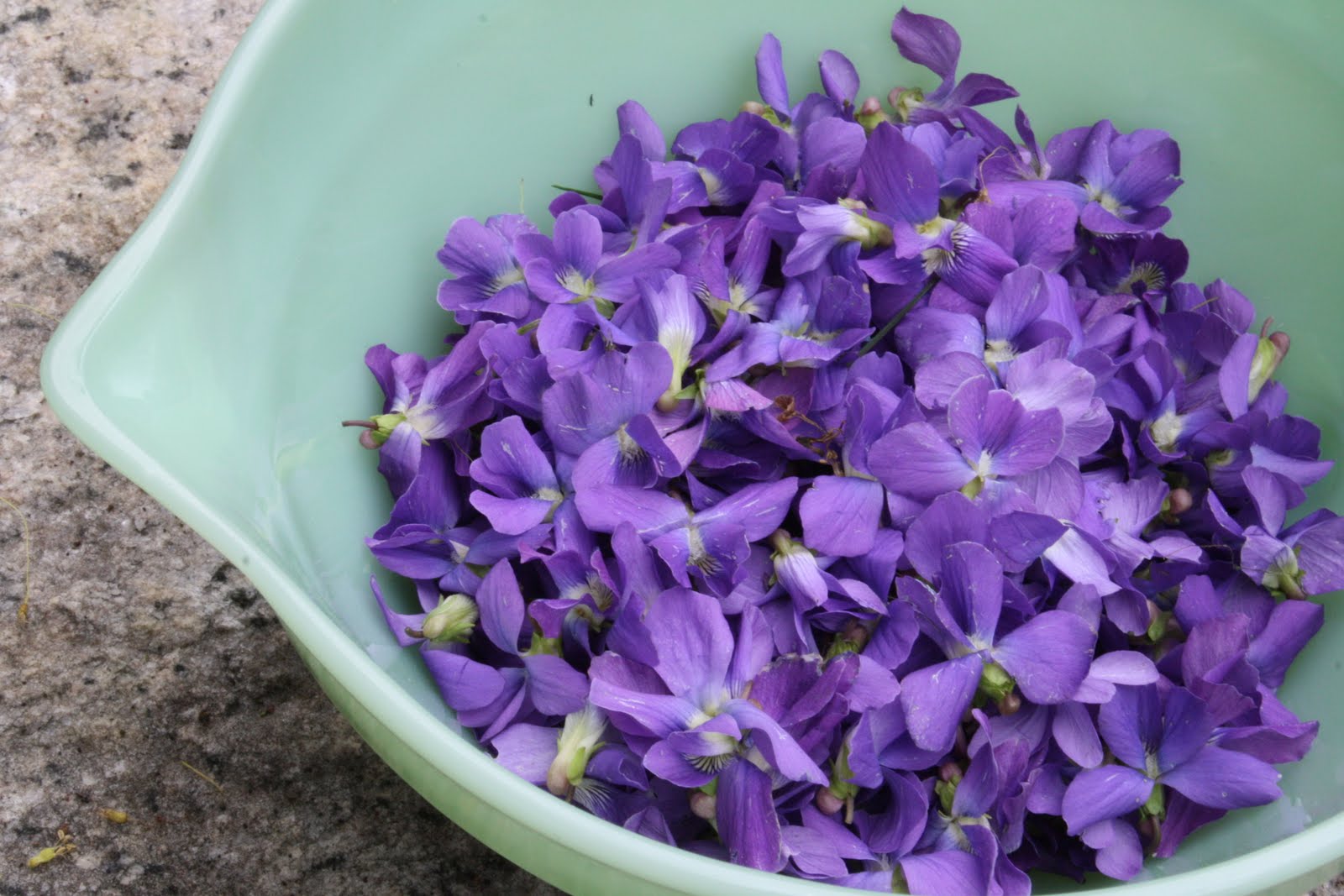 Learn To Cook Day 130.5 Candied Violets and Violet Martinis (Reposted)