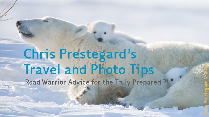 Chris Prestegard's Wildlife Photography and Travel Tips. Copyrighted 2024.  ALL RIGHTS RESERVED