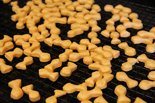 baked cheese gold fish crackers on a colling rack