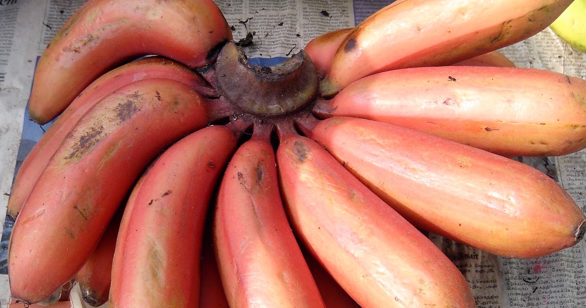 Red Bananas Health Benefits Natural And Healthy Life Guide With