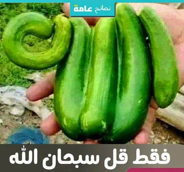 Image result for 'allah' in food