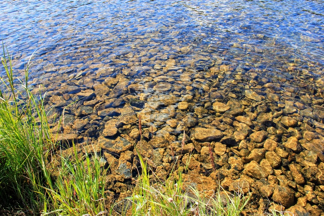 Joy of Discovery Wonder Lake, Denali National Park