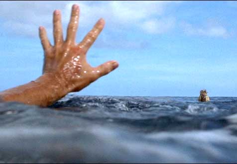 Wilson+Floats+Away.jpg