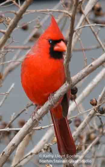 boehm stained glass blog stained glass cardinals window boehm stained glass blog stained glass cardinals window