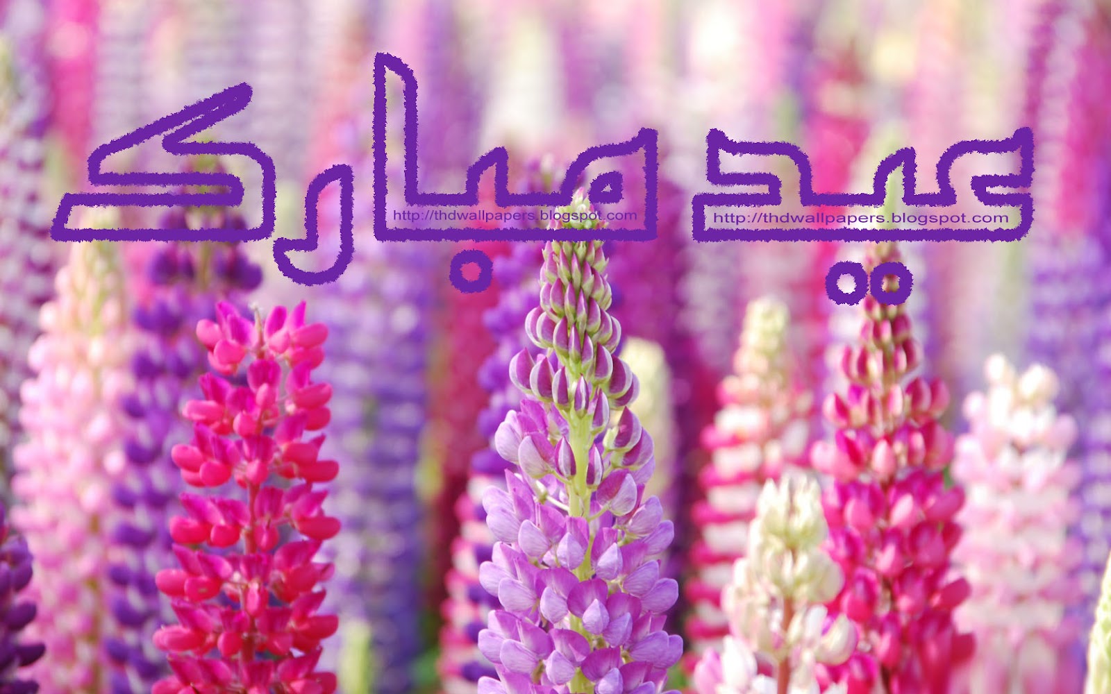 http://1.bp.blogspot.com/-qBRdE7zZbL0/UGcDOUGTD0I/AAAAAAAABUk/eMRlbpBkXto/s1600/eid-ul-zuha-adha-mubarak-2012-card-flower-wallpapers-urdu-text-035.jpg