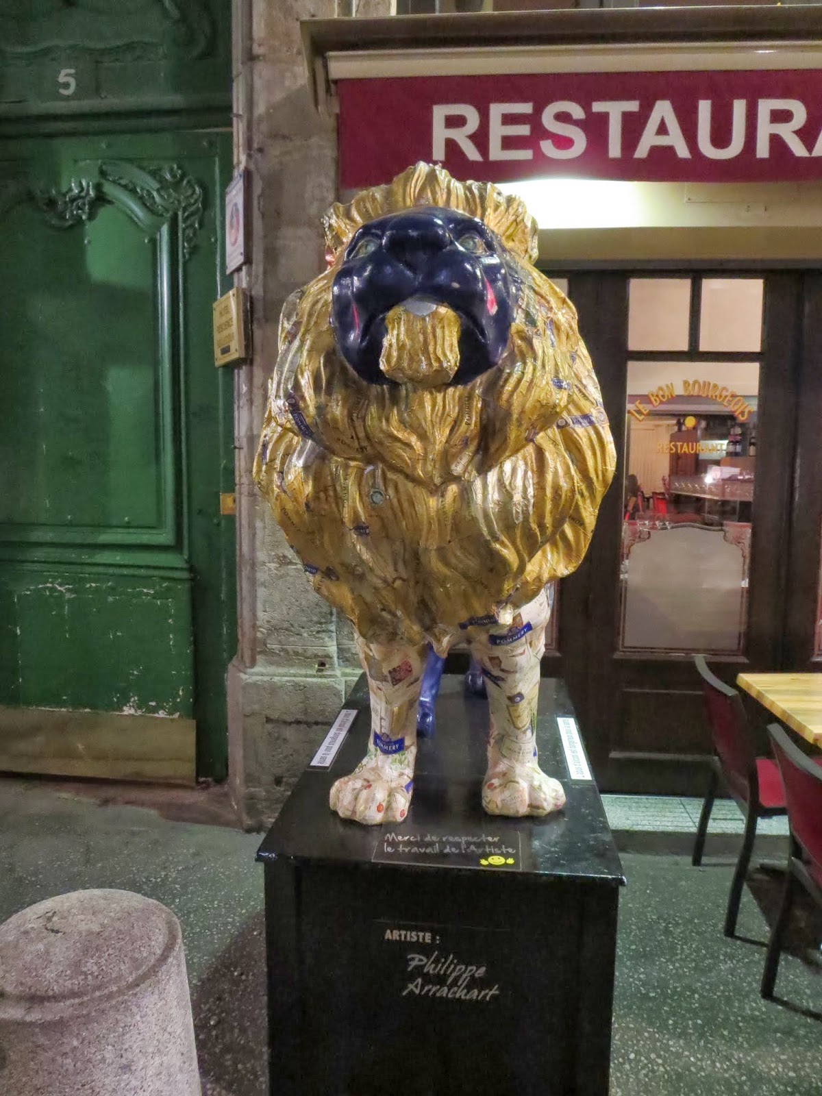Lion in Lyon