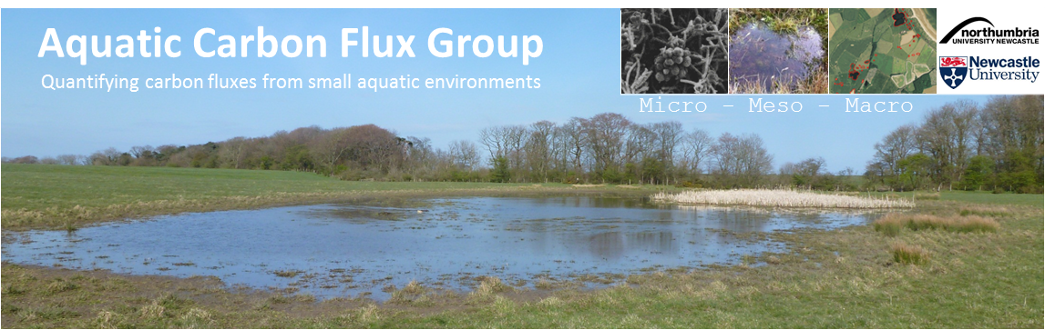 Aquatic Carbon Flux Group