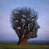 Ideas to create a world of peace and harmony for all
