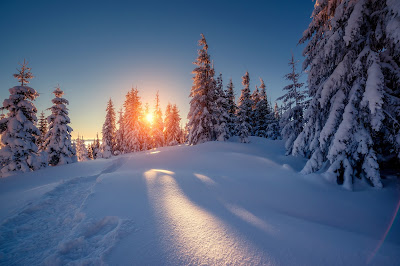 treeniä pakkasessa