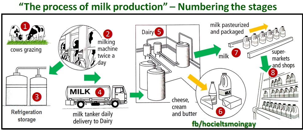 Bridgette needs milk coffee milking