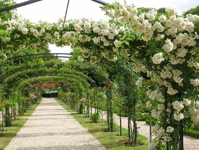 Romantic English-Style Garden