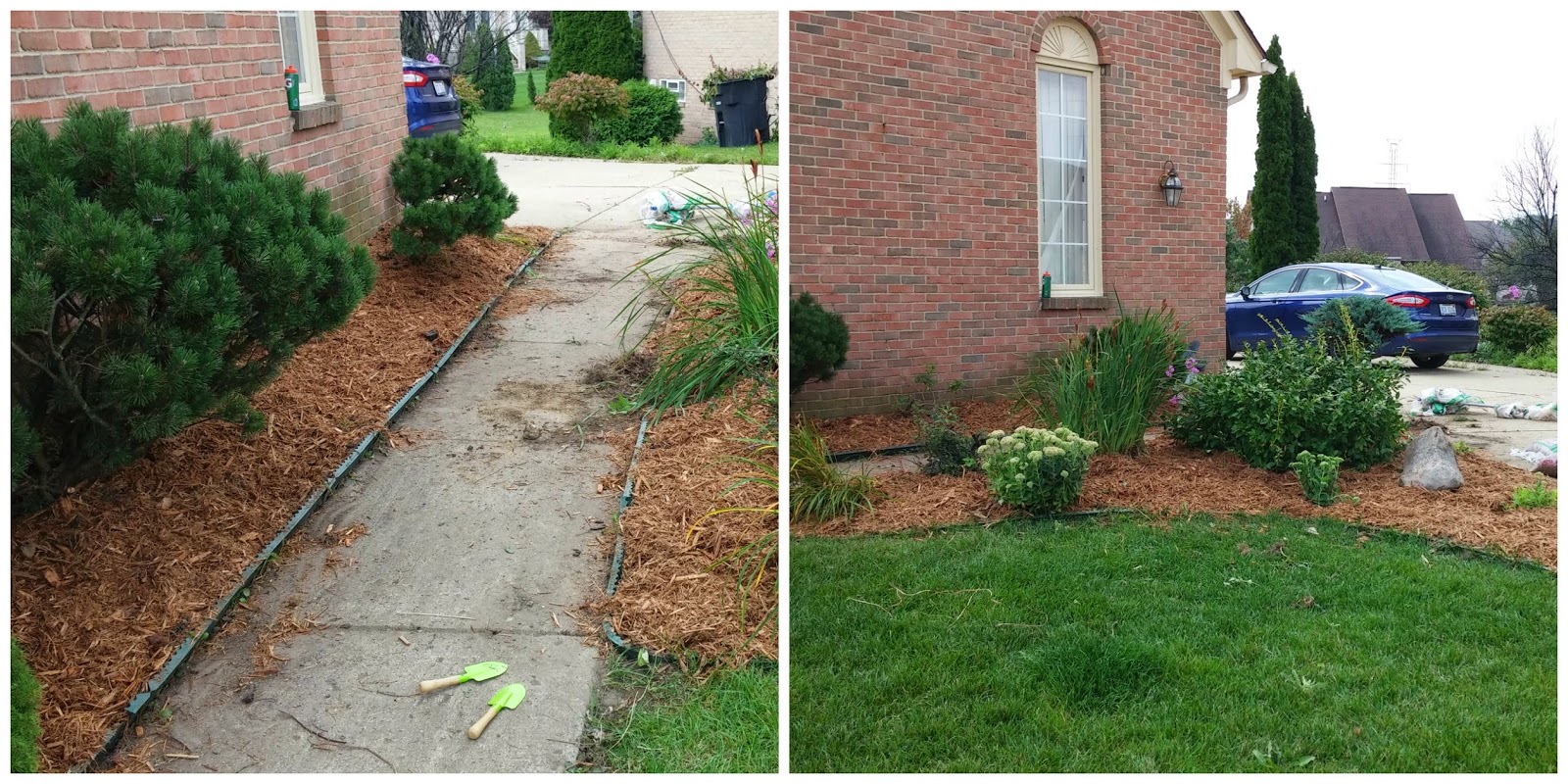 Successfully Grow Shrubs And Bushes In Containers Even If You