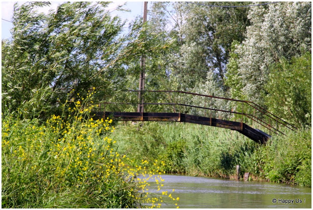 Marais audomarois