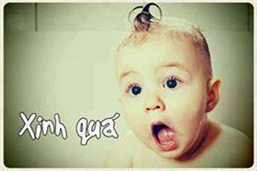 Ảnh chế troll comments facebook Ảnh chế troll comments facebook