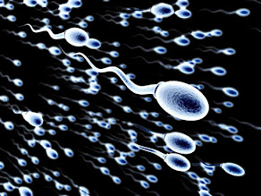 SPERM FREEZING SLOWS DOWN THE TICKING OF YOUR BIOLOGICAL CLOCK