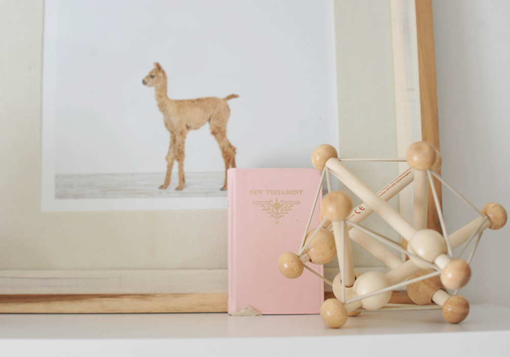 DIY Nursery Sharon Montrose Baby Alpaca DIY Nursery Sharon Montrose Baby Alpaca