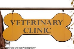 Specializing In A Wide Range Of Pet Preventative Healthcare & Medical Services