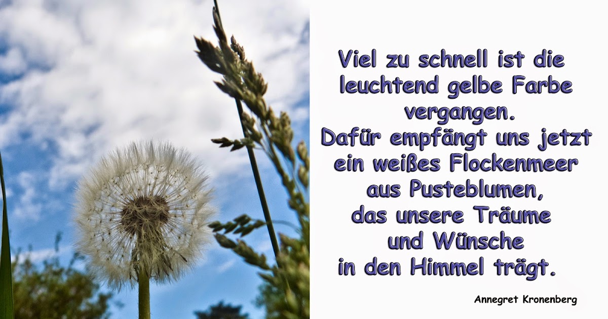 Dies Und Das Von Utensilien