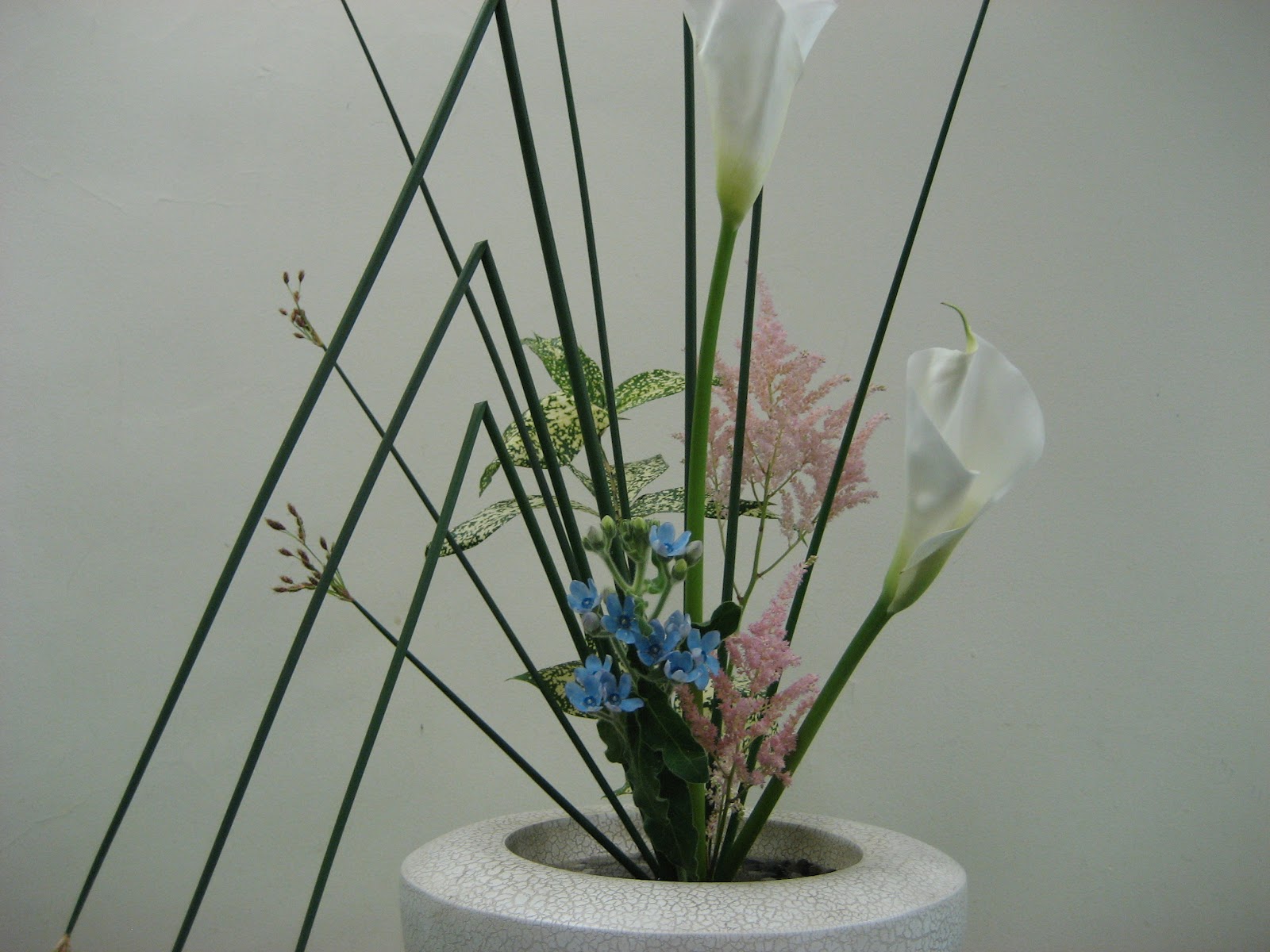 Katerina Lanfranco Ikebana Sculpting with Flowers