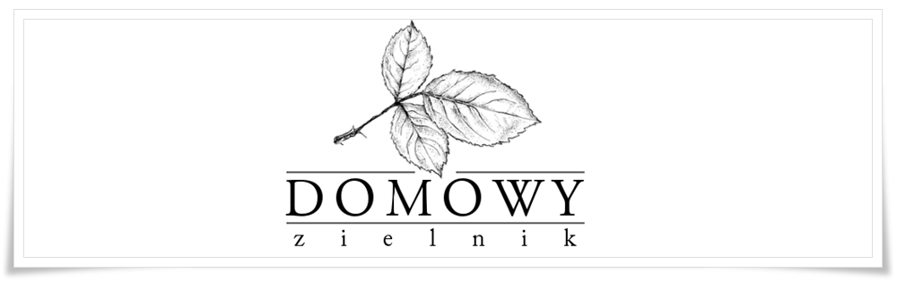 Domowy zielnik