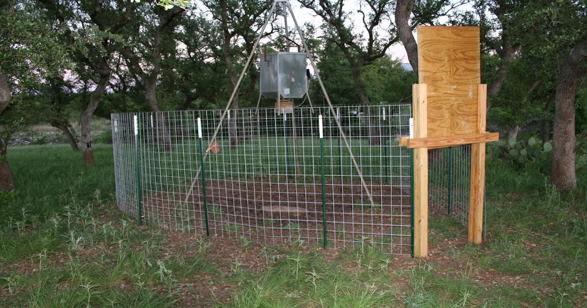 Wild Wonderings D.I.Y. Game Feeder Corral Trap for Wild Pigs