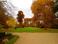 Part of the gardens of Versailles