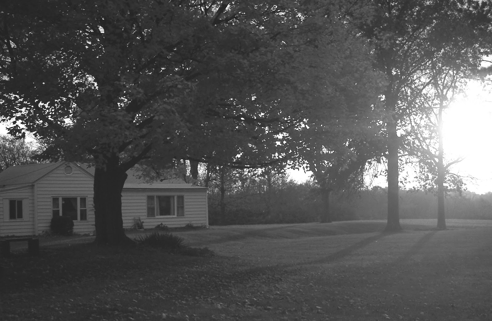 The Encyclopedia of Ancient Giants (Nephilim) in North America Remains