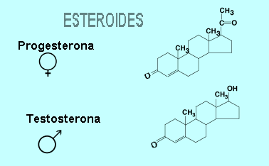 Esteroides o lipidos derivados