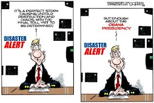Disaster Alert