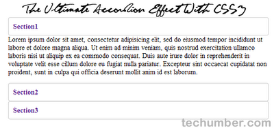 The Ultimate Accordion Effect With CSS3(Techumber.com)