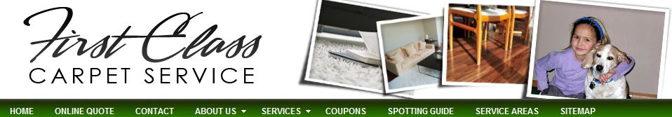 First Class Carpet Service | Carpet Cleaners | Carpet Cleaners | Upholstery Cleaning