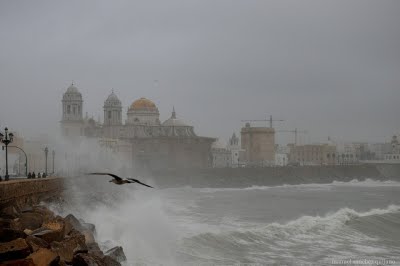 Catedral de Cádiz